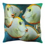 Aberto Design Cojín Multicolor 43 x 43 cm con Relleno de Silicona
